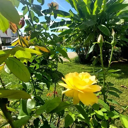 Apartment Rutland 2 - Menada Ravda